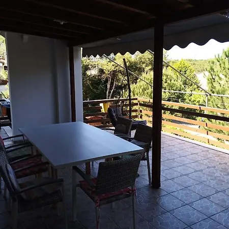 Apartament Pine Tree App 150m By Beach!