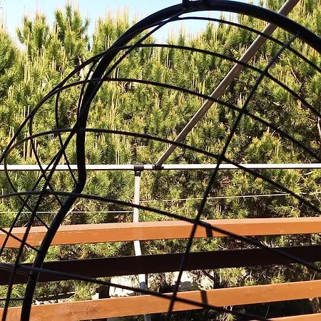 Pine Tree App 150m By Beach! Apartament