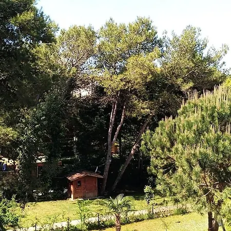 Pine Tree App 150m By Beach!