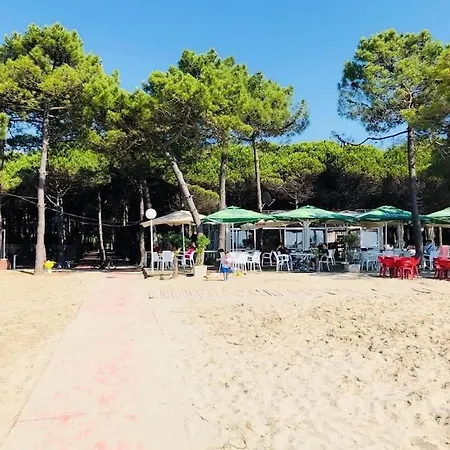Apartament Pine Tree App 150m By Beach!